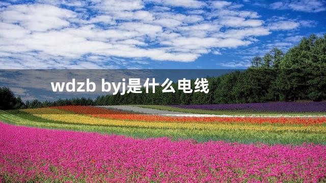 wdzb byj是什么电线