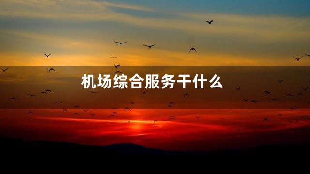 机场综合服务干什么