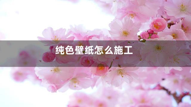 纯色壁纸怎么施工