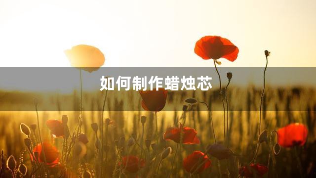 如何制作蜡烛芯