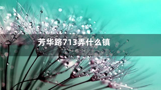 芳华路713弄什么镇