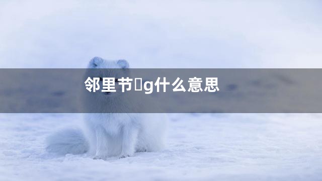 邻里节g什么意思
