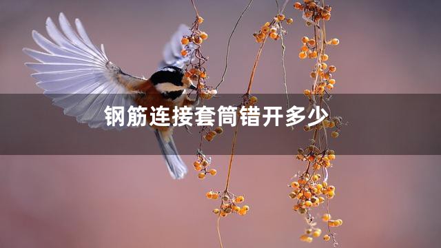 钢筋连接套筒错开多少