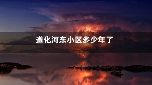 遵化河东小区多少年了