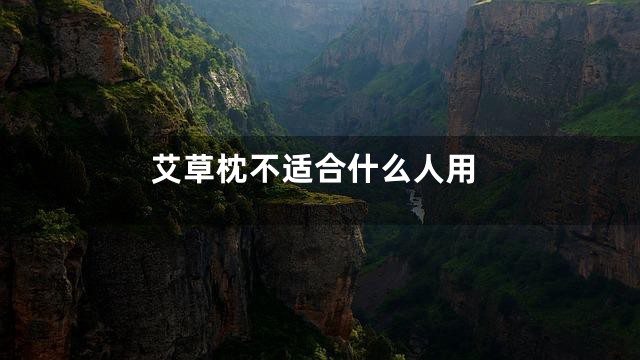 艾草枕不适合什么人用