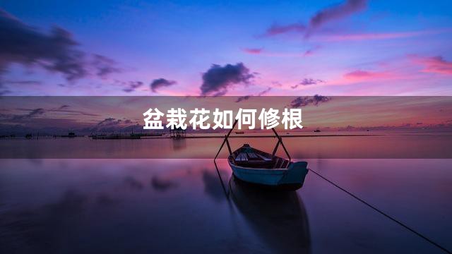 盆栽花如何修根
