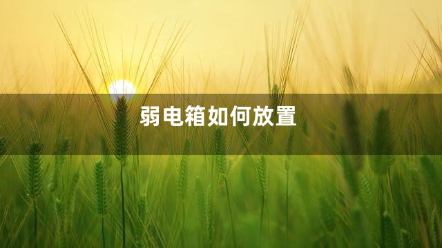 弱电箱如何放置