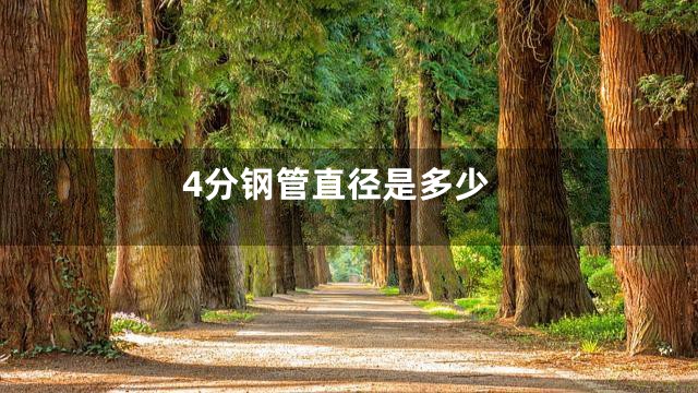 4分钢管直径是多少