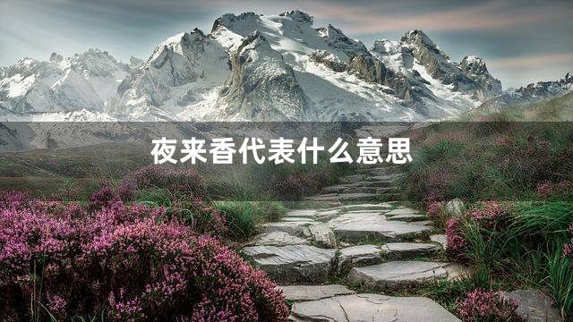 夜来香代表什么意思