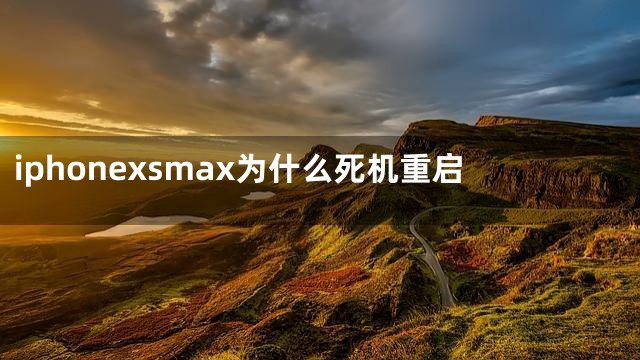 iphonexsmax为什么死机重启