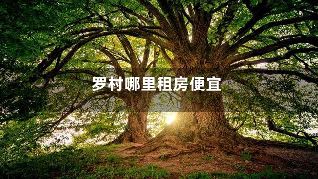 罗村哪里租房便宜