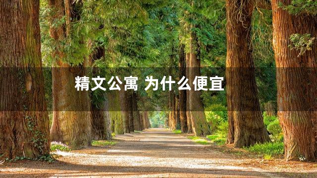 精文公寓 为什么便宜