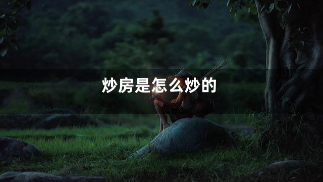 炒房是怎么炒的