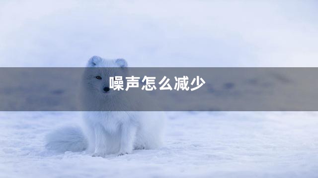 噪声怎么减少