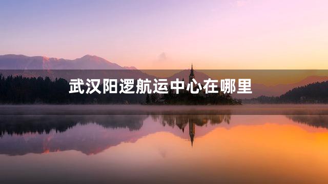 武汉阳逻航运中心在哪里