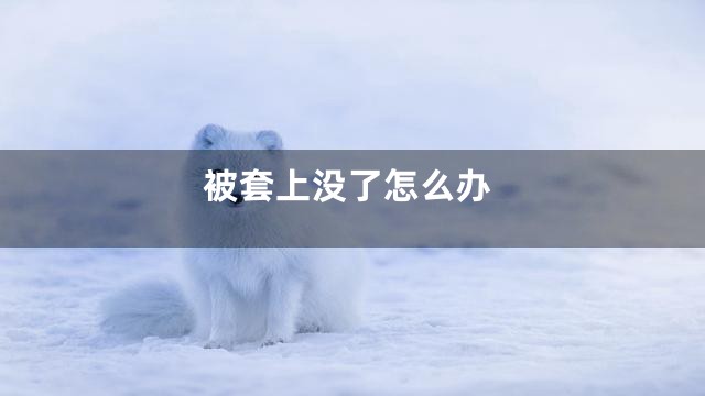 被套上没了怎么办