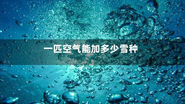 一匹空气能加多少雪种