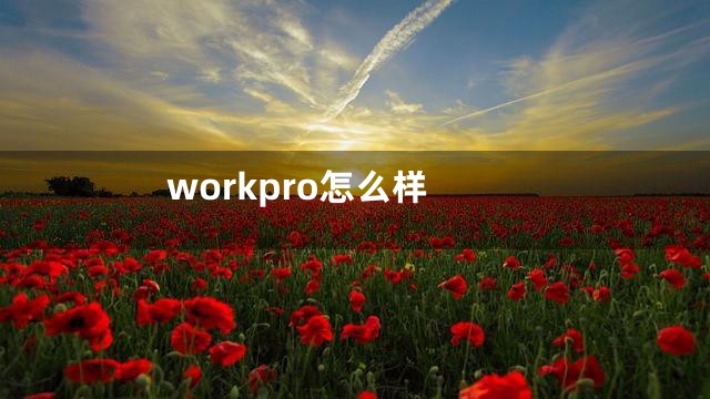 workpro怎么样