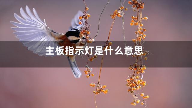 主板指示灯是什么意思