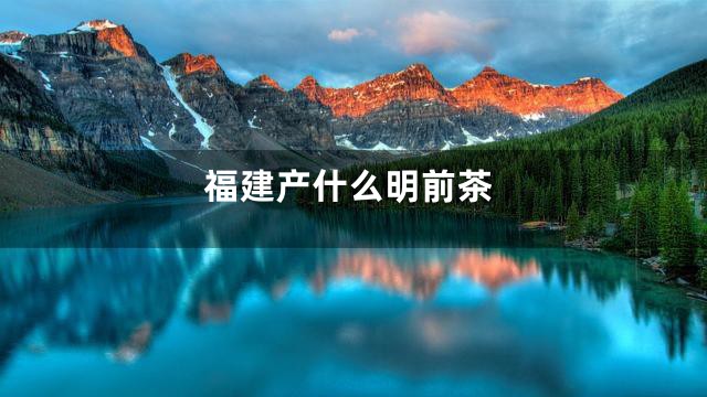 福建产什么明前茶