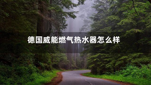 德国威能燃气热水器怎么样