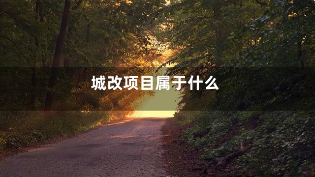 城改项目属于什么