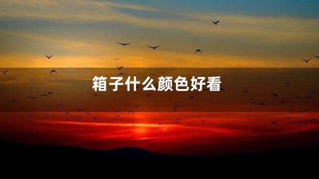 箱子什么颜色好看