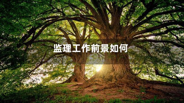 监理工作前景如何