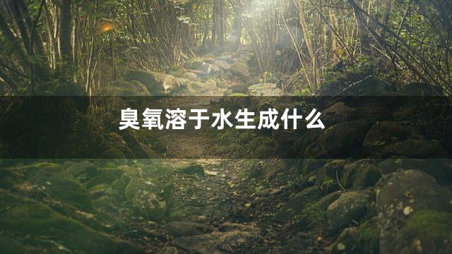 臭氧溶于水生成什么