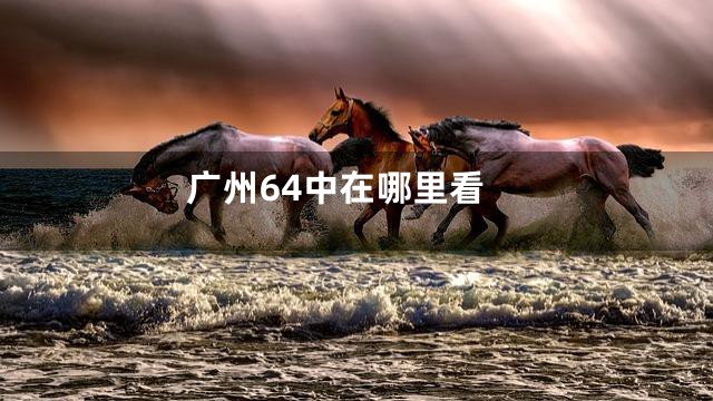 广州64中在哪里看