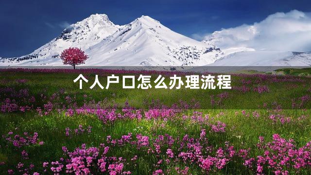 个人户口怎么办理流程