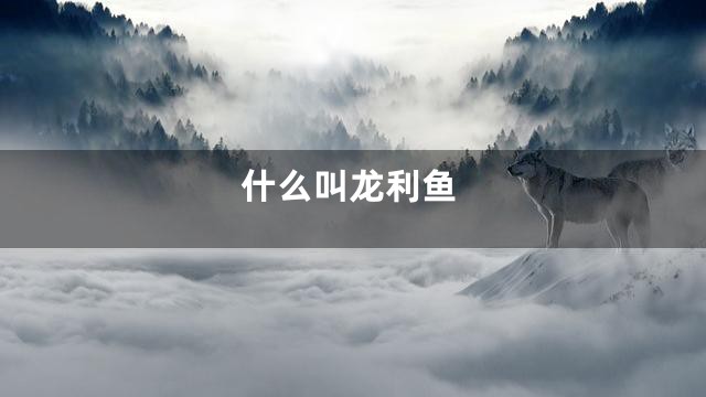 什么叫龙利鱼