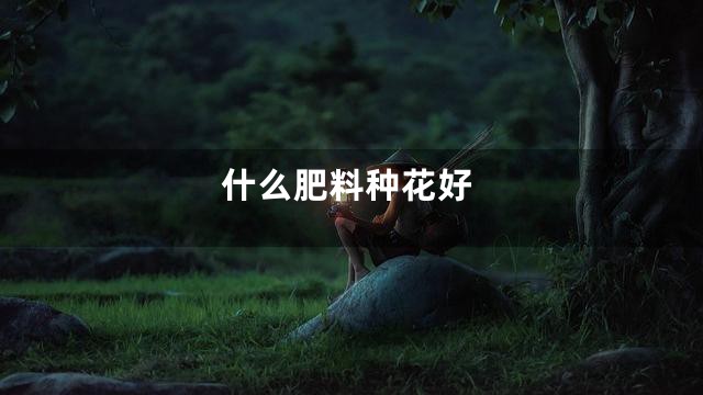 什么肥料种花好
