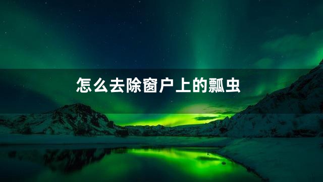 怎么去除窗户上的瓢虫