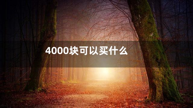 4000块可以买什么
