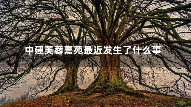 中建芙蓉嘉苑最近发生了什么事