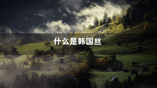 什么是韩国丝