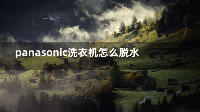 panasonic洗衣机怎么脱水