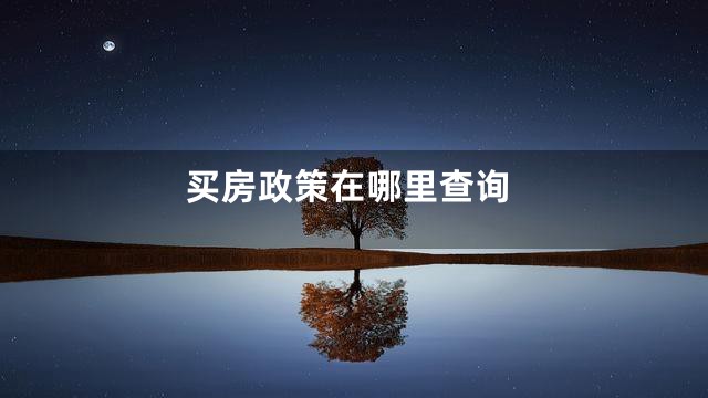 买房政策在哪里查询