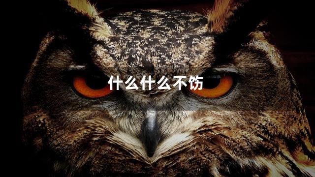什么什么不饬