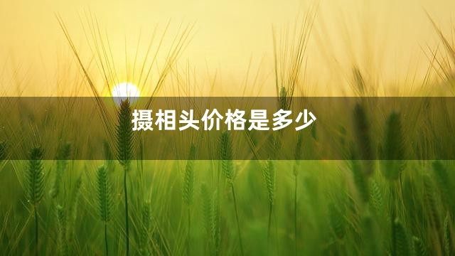 摄相头价格是多少