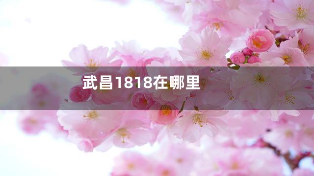 武昌1818在哪里