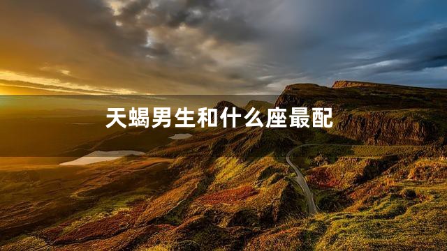 天蝎男生和什么座最配