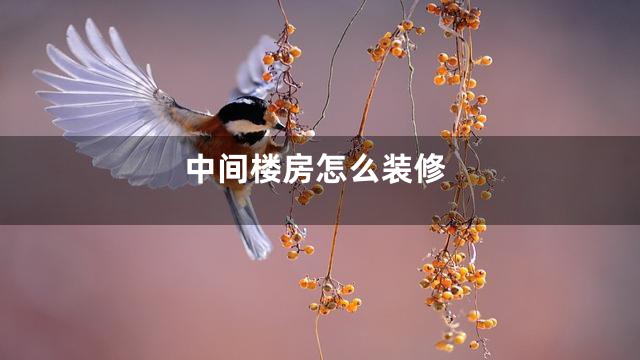中间楼房怎么装修