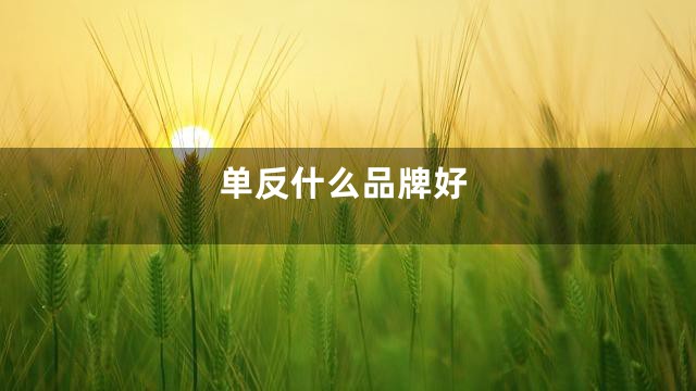 单反什么品牌好