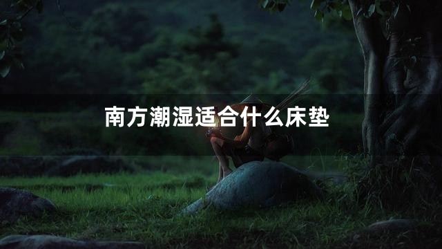 南方潮湿适合什么床垫