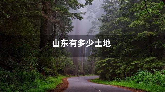 山东有多少土地