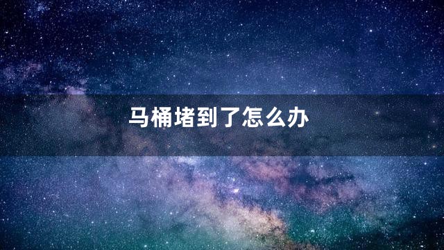 马桶堵到了怎么办