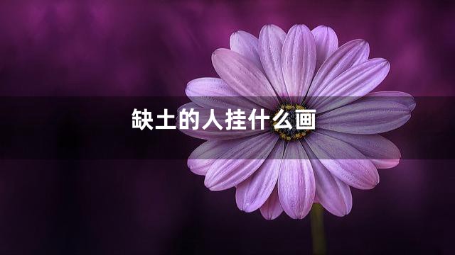 缺土的人挂什么画