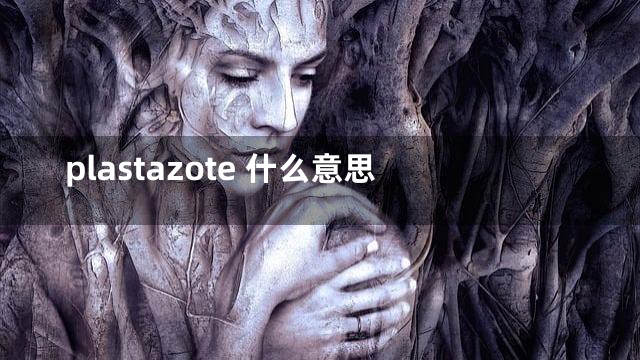 plastazote 什么意思
